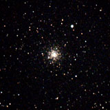 M69