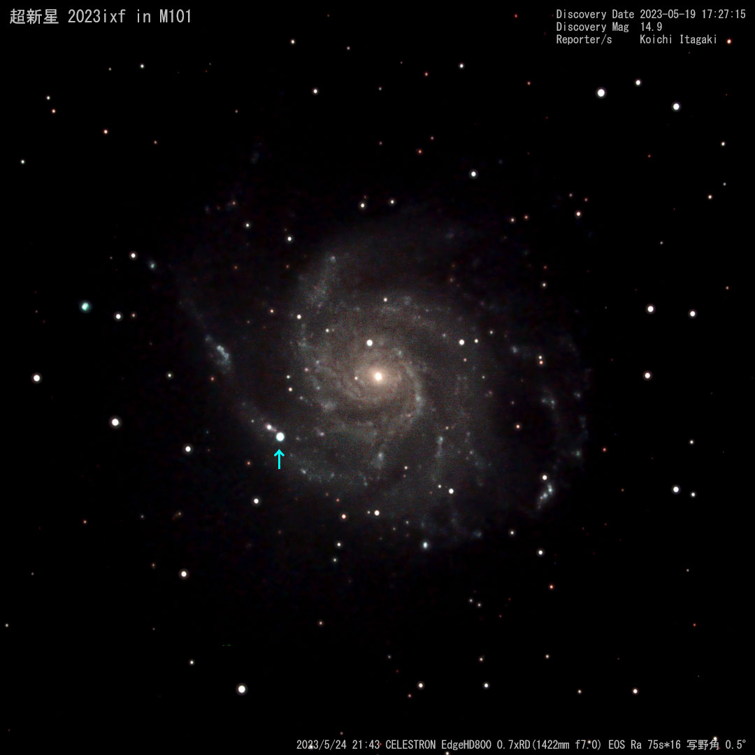 2023/5/24 超新星 2023ixf in M101